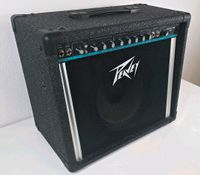 PEAVEY Studio Pro 110 Gitarrenverstärker USA München - Trudering-Riem Vorschau