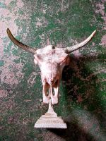 Bull Skull Bullenschädel massiv Bayern - Kempten Vorschau