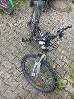 Fahrrad  zu verkaufen Baden-Württemberg - Aichstetten Vorschau