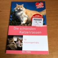 Katzenbuch- Die schönsten Katzenrassen Niedersachsen - Osnabrück Vorschau