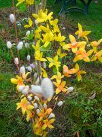 Blumen künstlich Frühling Nordrhein-Westfalen - Dinslaken Vorschau