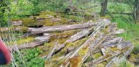 Suche Entsorgung Holz Holzbalken Rheinland-Pfalz - Mauschbach Vorschau