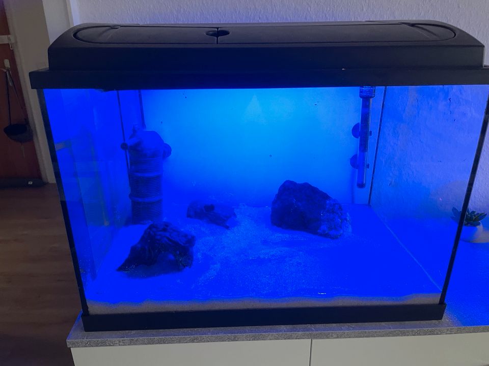 Aquarium 84L mit Filter, Lampe, Heizstab, Deko in Bochum