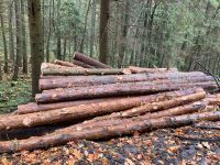 Brennholz, Stammholz, Rundholz, Käferholz, Fichte, Kiefer Bayern - Furth im Wald Vorschau