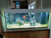 Juwel Aquarium Hessen - Ober-Mörlen Vorschau