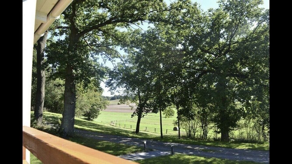 Ferienhaus Tiny Natur Bayern Sommer in Kulmbach