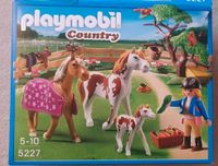 Playmobil country 5227 Pferde Nordrhein-Westfalen - Neuss Vorschau