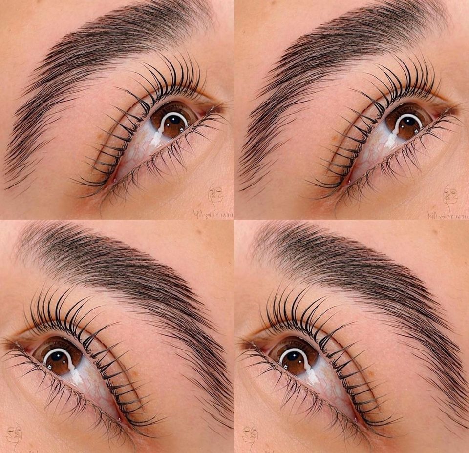 Lash- und Browlifting Schulung inkl. XXL-Starterset in Niederzier