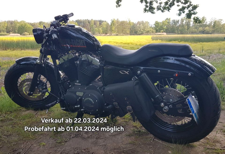Harley-Davidson XL48 Sportster forty eight XL 1200 X in Ruhland