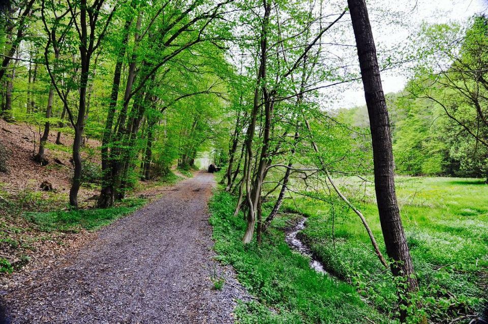 Wiesengrundstück mit Baumbestand / Hennef / Wiese Bach Derenbach in Hennef (Sieg)