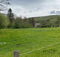 Grundstück für Garten, Freizeit, Landwirtschaft Nähe Neu-Anspach Hessen - Neu-Anspach Vorschau