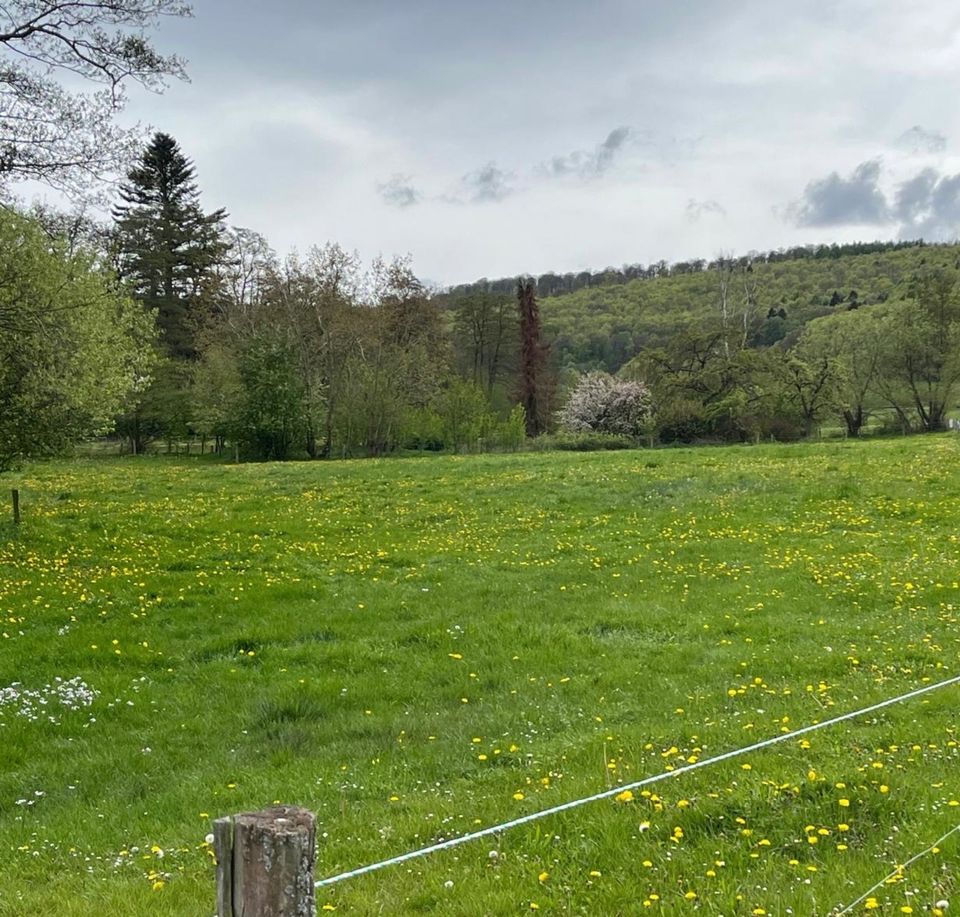 Grundstück für Garten, Freizeit, Landwirtschaft Nähe Neu-Anspach in Neu-Anspach