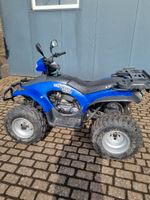 YUKON E-TON EXL 150 Quad Nordrhein-Westfalen - Nottuln Vorschau