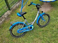 Kinderfahrrad 14 zoll Polizei Harburg - Hamburg Cranz Vorschau