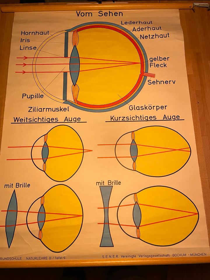 Alte Schulkarte „Sehen“ „Auge“ in Köln