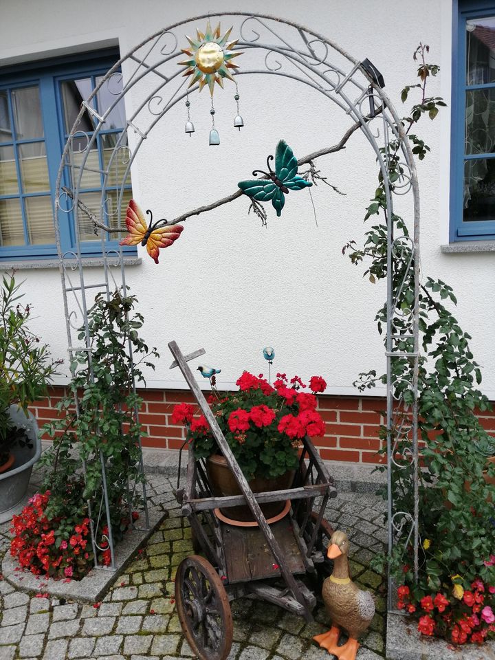 Rosenbogen HOLLAND Rund Pergola Gartendeko Rozenboog  Rose Arch in Görlitz