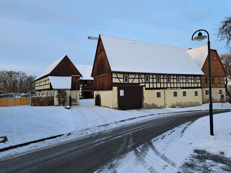 Einstellplatz in Aktivhaltung, Aktivstall, Reha, Urlaubsbetreuung in Seelitz