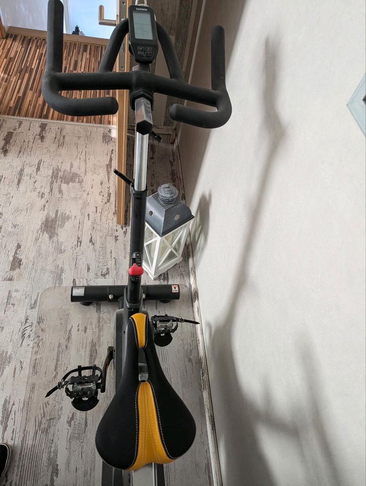 Darwin EVO 40 Spinning Rad/ Heimtrainer in Dortmund