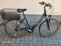 Fahrrad Damenrad 28zoll Pegasus Avanti Nordrhein-Westfalen - Gütersloh Vorschau