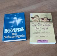 Buch Schutzengel, Engel, Set Niedersachsen - Stadtoldendorf Vorschau