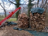 Brennholz Buche vorgelagert 33cm Bayern - Nordheim vor der Rhön Vorschau