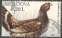 Moldawien 594 ° Tiere - ausgestorbene Vögel - Auerhuhn - Auerhahn Nordrhein-Westfalen - Kamen Vorschau