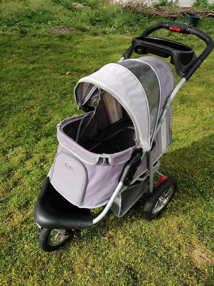 Hunde Buggy in Grimma