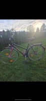 Kettler Fahrrad Trekkingrad Alu Paramount 2000er Retro Hessen - Petersberg Vorschau
