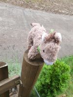 Kuscheltier Esel gefunden Berlin - Köpenick Vorschau