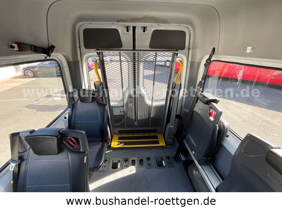 Mercedes-Benz 313 CDI Sprinter/ 9 Sitze/ Behindertengerecht in Untersteinach