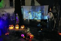Alles für eine Halloween Piraten Party: Schmuck, Pflanzen, Kelche Bayern - Gersthofen Vorschau