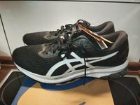 Asics Gel GT-XPRESS™ 2  Neutral,  euer Schuh in OVP Rheinland-Pfalz - Koblenz Vorschau