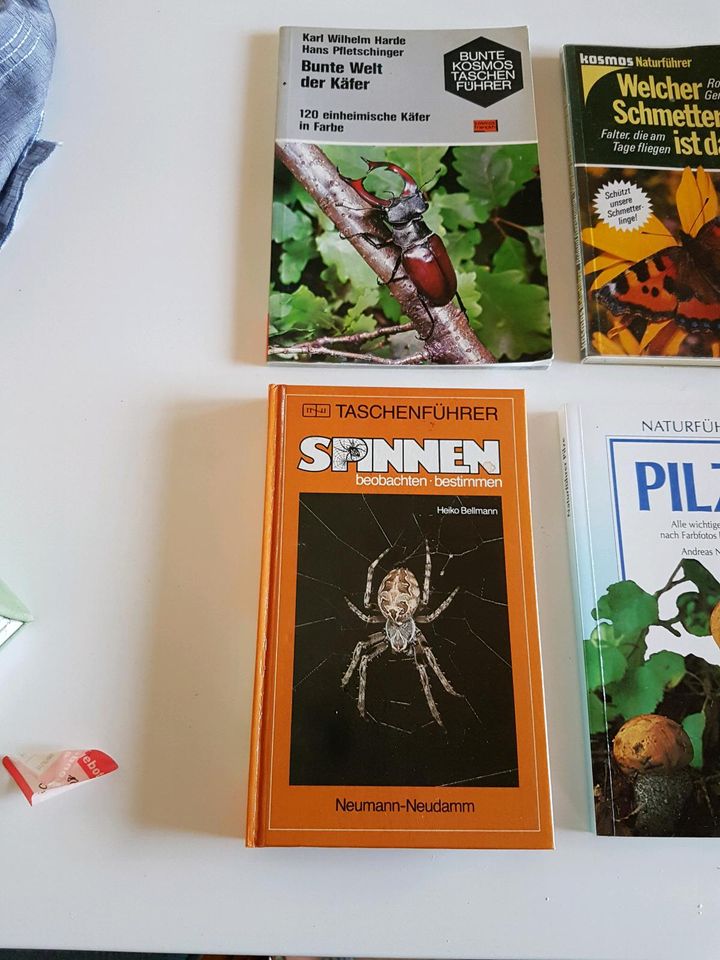 Naturkunde, Schmetterlinge, Käfer, Spinnen, Pflanzen 8 Bücher in Bad Schussenried