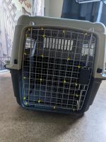 Transportbox Hund Hamburg-Mitte - Hamburg Hammerbrook Vorschau