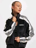 ADIDAS DAMENJACKE VELOUR | NEU Nordrhein-Westfalen - Pulheim Vorschau