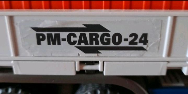 Playmobil Cargo- LKW, inkl.Versand in Norderstapel