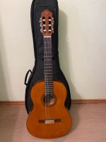 Gitarre mit Tasche Eimsbüttel - Hamburg Eimsbüttel (Stadtteil) Vorschau