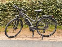 E-Bike BBF “Basel” BOSCH Niedersachsen - Sibbesse  Vorschau