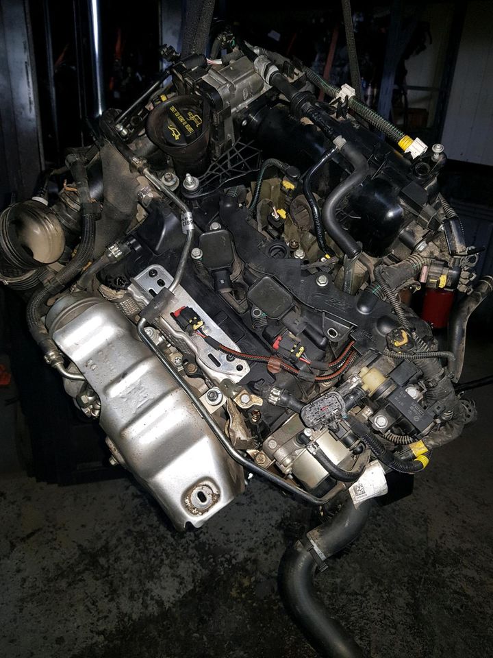 Motor Fiat Panda 0.9 TwinAir Turbo 312A5000 in Duisburg