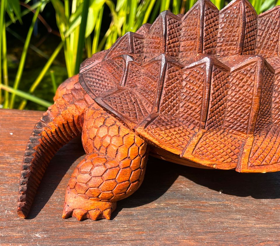 Schildkröte 30cm Landschildkröte Holzschildkröte Holz in Essen