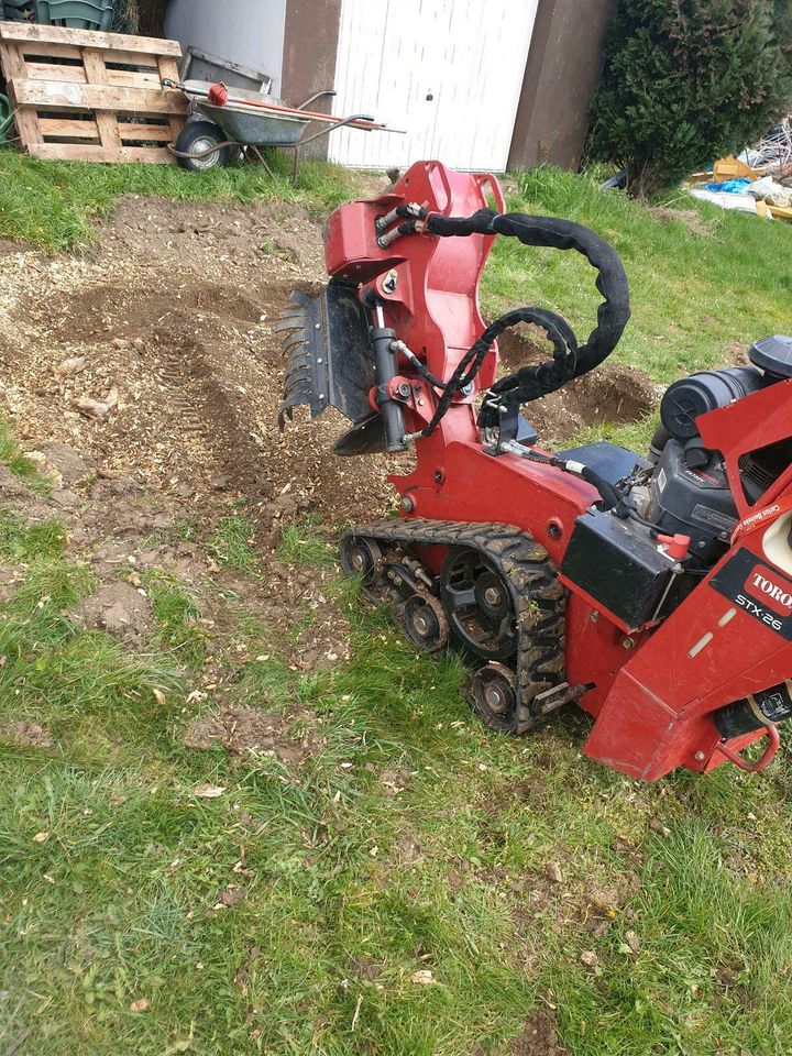 Wurzelfräsen Baumstumpffräsen Stumpen in Nieheim