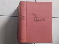 Antiquarisches Buch von 1952 "TIERE - MEIN ABENTEUER" Lutz Heck Niedersachsen - Edewecht Vorschau