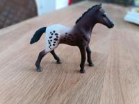 Schleich 13862 Appaloosa Fohlen Roman Brandenburg - Blankenfelde-Mahlow Vorschau