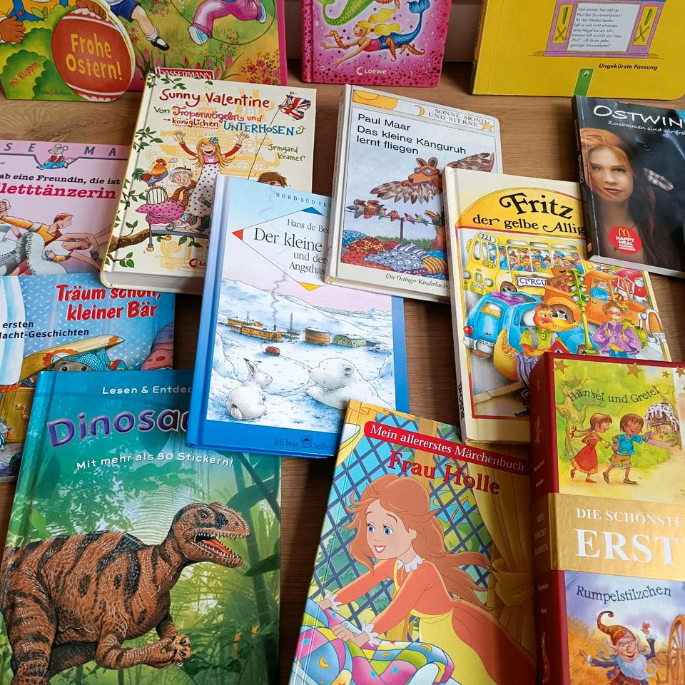 Kinderbücher Bücher Kinderzimmer in Kalletal
