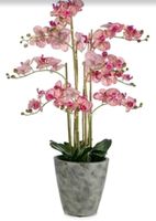 Abella Flora Orchidee künstliche Pflanze  QVC Hannover - Linden-Limmer Vorschau