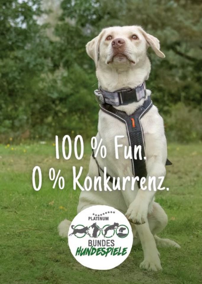 20 % Rabatt auf Tickets Bundeshundespiele 2024 - Du und dein Hund in Marburg
