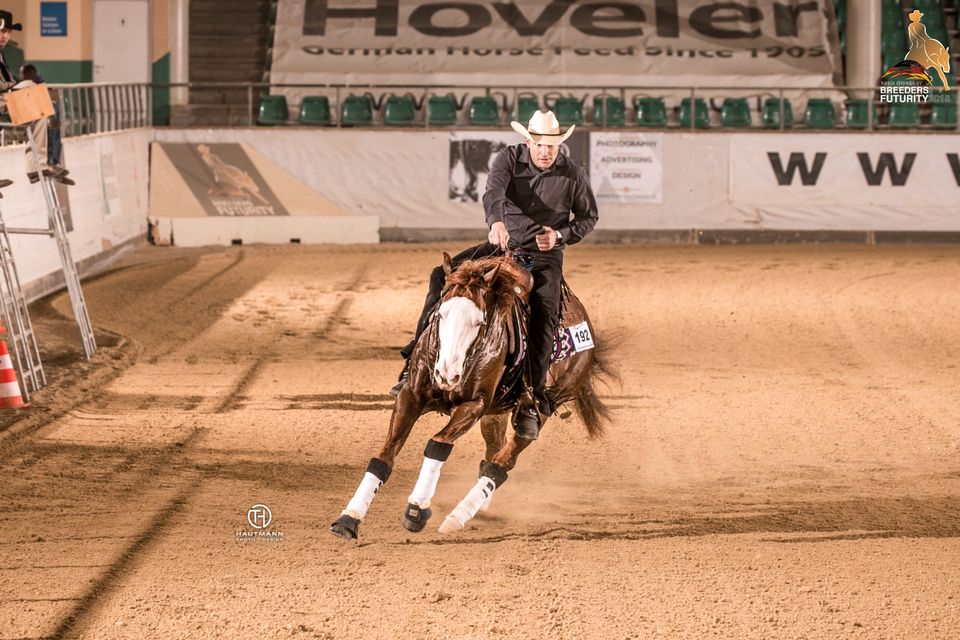 Kurse , Wochenendkurse, Westernreiten, Reining, Unterricht in Ellerhoop