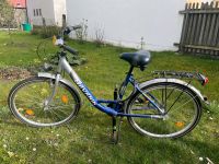 Damenfahrrad 26" mit niedrigem Einstieg Kr. Dachau - Dachau Vorschau