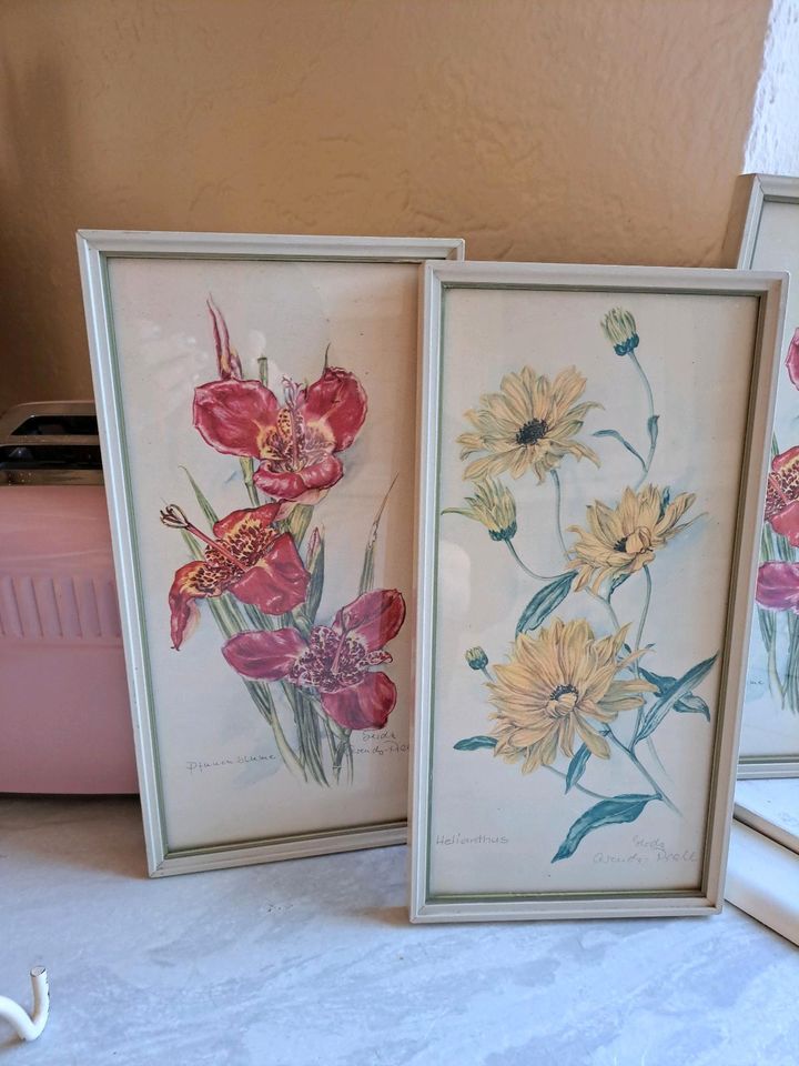 Drei Blumen Bilder  komplett in Lohmar
