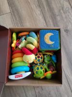 Karton Babyspielzeug zusammen 6 Euro Niedersachsen - Langlingen Vorschau